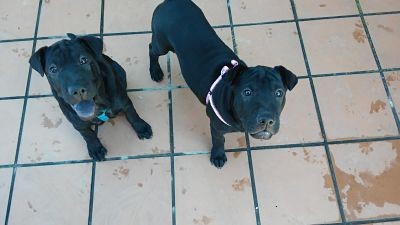 con 3 meses con 3 meses